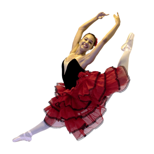 Os 7 Métodos de Ballet - Corpo de Ballet Shop
